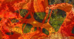 copyright free images