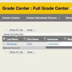 Blackboard grade center view