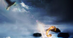 magic, doves, sky, ring
