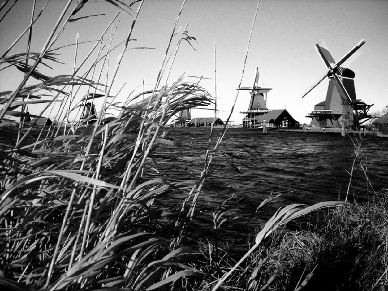 Windmills in Holland. Photo Credit Holland Wegner
