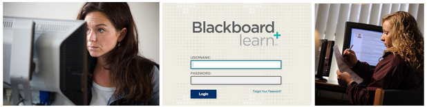 How to Take an Online Course at UNE, featuring Blackboard