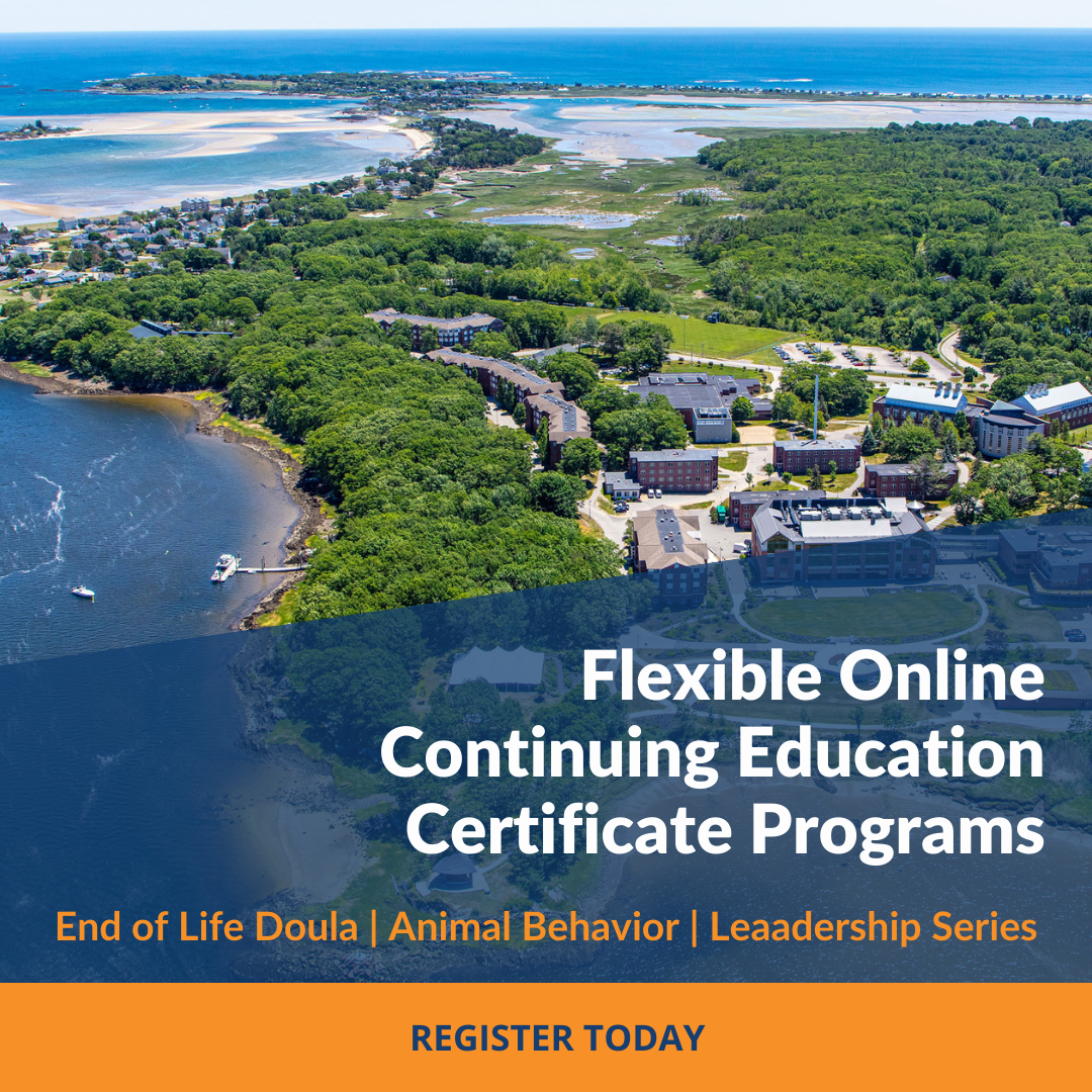 Continuing Education Certificates | UNE Online