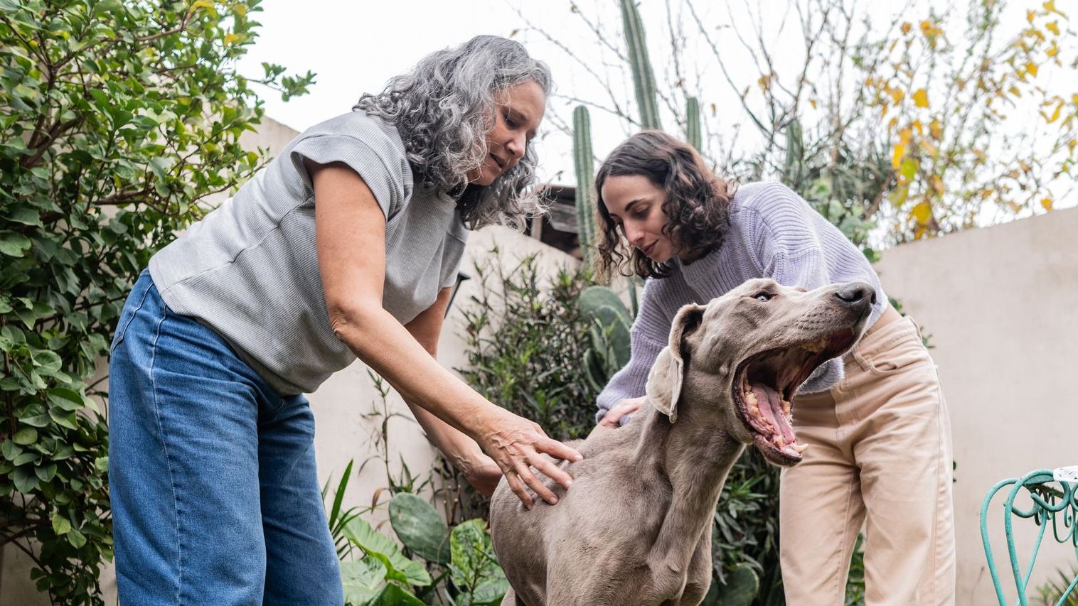 Mother and daughter petting dog in backyard