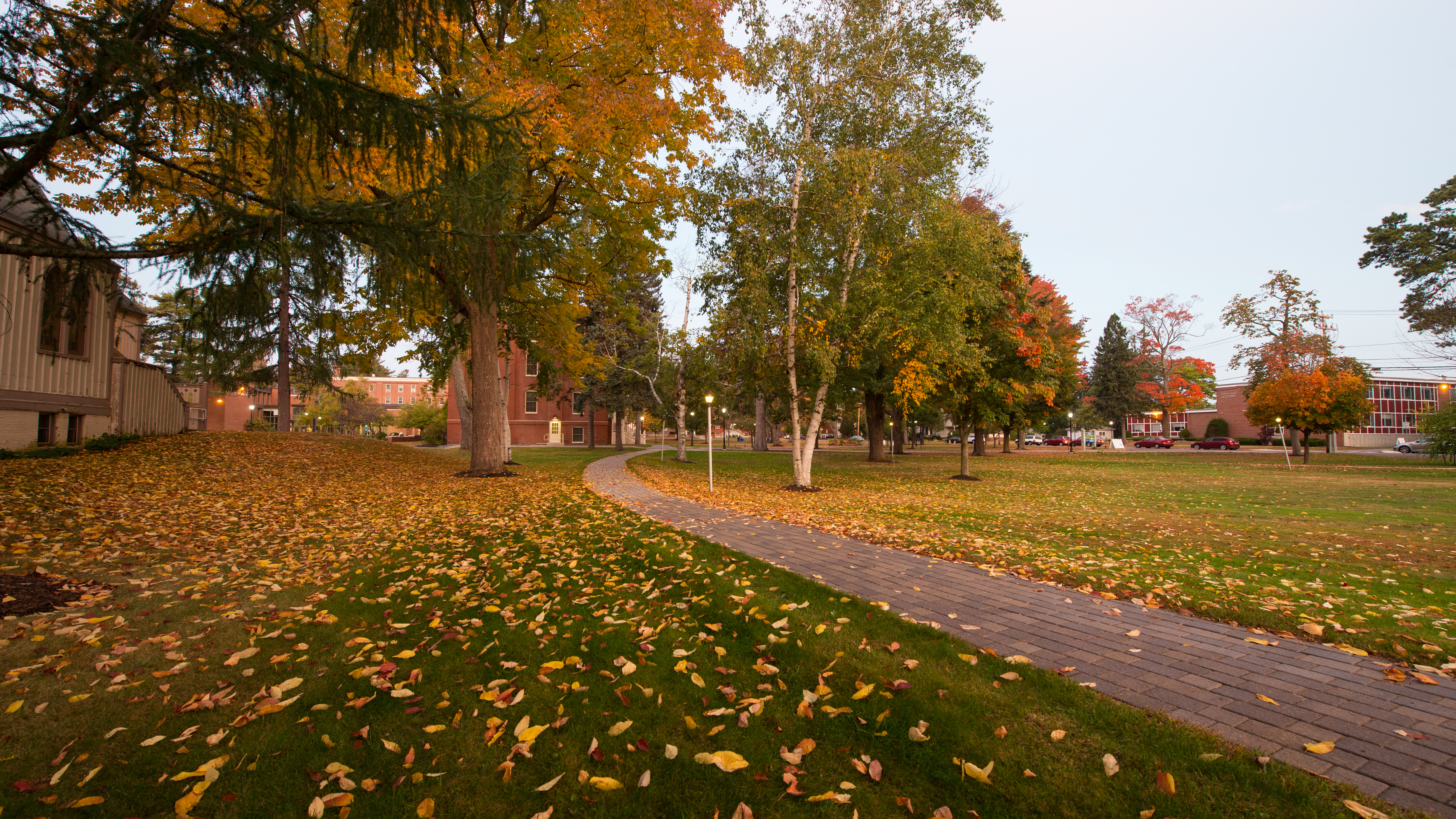 Brick path with trees lining the sides in fall